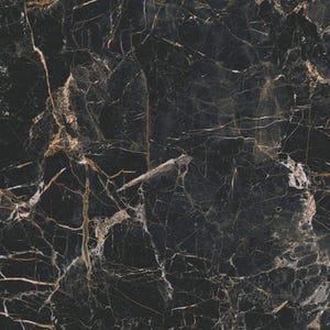 Carrelage sol intérieur effet marbre l.60x L.60cm - Marquina Gold Poli