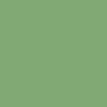 Peinture intérieure velours vert asaret teintée en machine 10 L Altea - GAUTHIER
