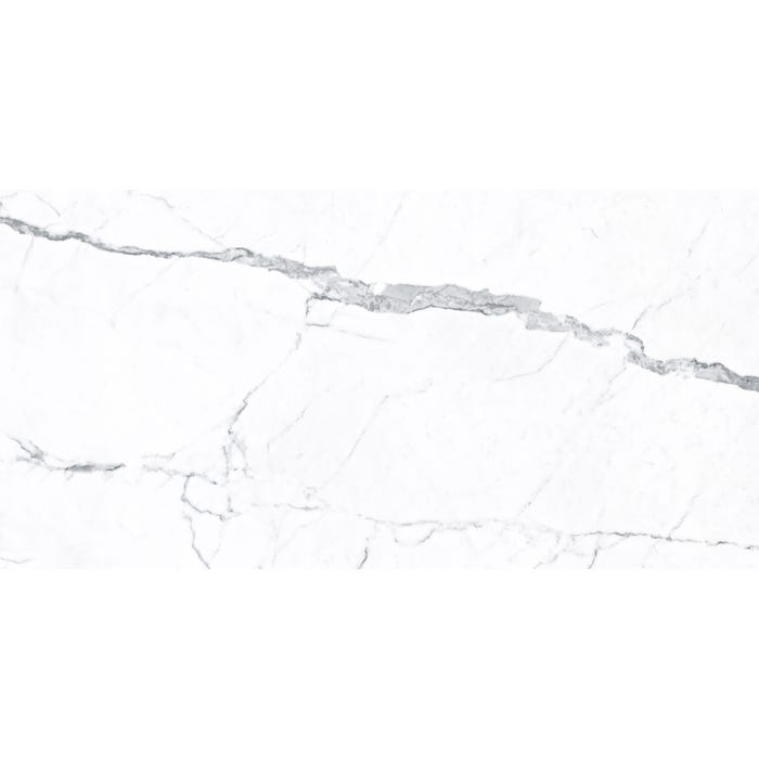 Carrelage sol intérieur effet marbre l.60x L.120cm - Statuario