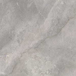 Carrelage sol intérieur effet pierre l.60x L.60cm - Masterstone Silver