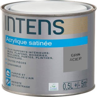 Peinture intérieure multi-supports acrylique monocouche satin gris acier 0,5 L - INTENS