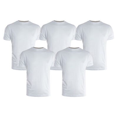 Lot de 5 t-shirt blanc l