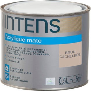 Peinture intérieure multi-supports acrylique monocouche mate brun cachemire 0,5 L - INTENS