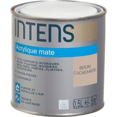 Peinture intérieure multi-supports acrylique monocouche mate brun cachemire 0,5 L - INTENS