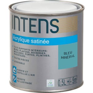 Peinture intérieure multi-supports acrylique monocouche satin bleu minéral 0,5 L - INTENS