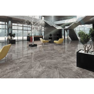 Carrelage intérieur sol et mur gris effet marbre l.60 x L.60 cm Bolonia Gris