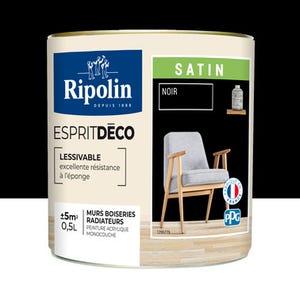 Peinture intérieure multi-supports acrylique satin noir 0,5 L Esprit déco - RIPOLIN