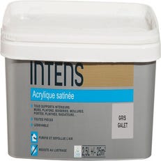 Peinture intérieure multi-supports acrylique  monocouche satin gris galet 2.5 L - INTENS