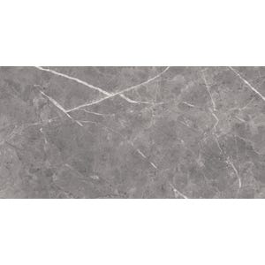Carrelage sol intérieur effet marbre l.30x L.60cm - Bolonia Gris