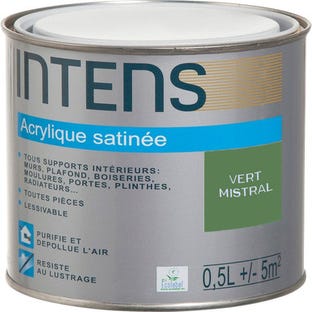 Peinture intérieure multi-supports acrylique monocouche satin vert mistral 0,5 L - INTENS