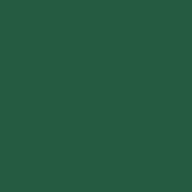 Peinture intérieure velours vert athamanta teintée en machine 3 L Altea - GAUTHIER