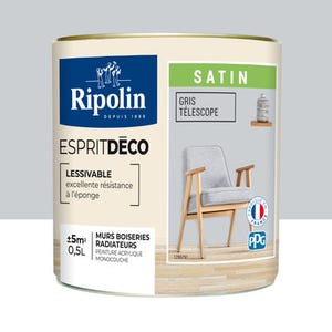Peinture intérieure multi-supports acrylique satin gris téléscope 0,5 L Esprit déco - RIPOLIN