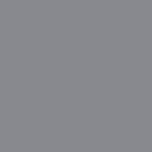Peinture intérieure velours gris colombo teintée en machine 10 L Altea - GAUTHIER