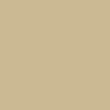 Peinture intérieure mat beige topaze teintée en machine 4L HPO - MOSAIK