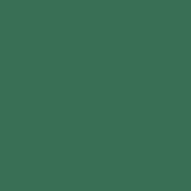 Peinture intérieure velours vert rotonda teintée en machine 10 L Altea - GAUTHIER