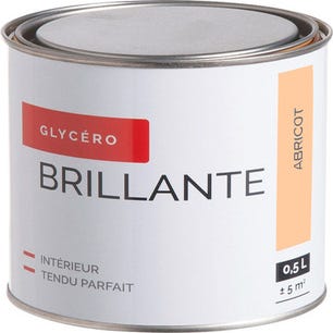 Peinture intérieure multi-supports glycéro brillant abricot 0,5 L