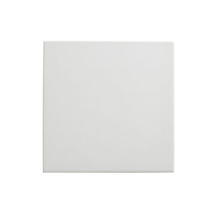 carrelage intérieur blanc uni l.22,3 x L.22,3 cm Great