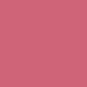 Peinture intérieure velours rose crank teintée en machine 10 L Altea - GAUTHIER