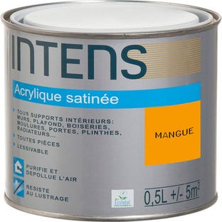 Peinture intérieure multi-supports acrylique monocouche satin mangue 0,5 L - INTENS