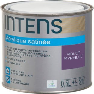 Peinture intérieure multi-supports acrylique monocouche satin violet myrtille 0,5 L - INTENS