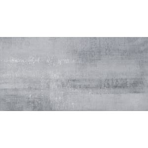 Carrelage intérieur sol et mur gris effet béton l.30,8 x L.61,5 cm Bronx Grigio