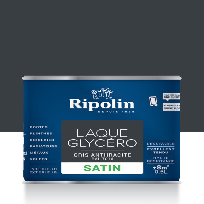 Peinture intérieure et extérieure multi-supports glycéro satin gris anthracite 0,5 L - RIPOLIN