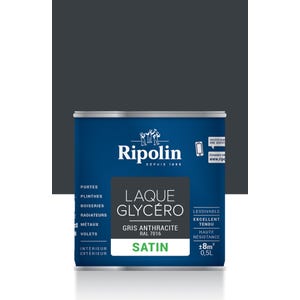 Peinture intérieure et extérieure multi-supports glycéro satin gris anthracite 0,5 L - RIPOLIN