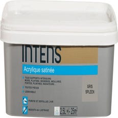 Peinture intérieure multi-supports acrylique  monocouche satin gris spleen 2.5 L - INTENS