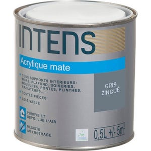 Peinture intérieure multi-supports acrylique monocouche mate gris zingue 0,5 L - INTENS