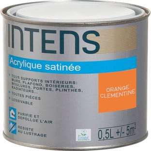 Peinture intérieure multi-supports acrylique monocouche satin orange clémentine 0,5 L - INTENS