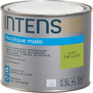 Peinture intérieure multi-supports acrylique monocouche mate vert pistache 0,5 L - INTENS