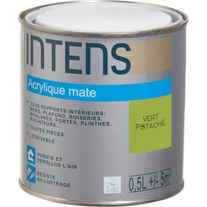 Peinture intérieure multi-supports acrylique monocouche mate vert pistache 0,5 L - INTENS