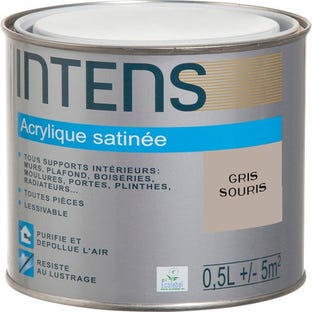 Peinture intérieure multi-supports acrylique monocouche satin gris souris 0,5 L - INTENS