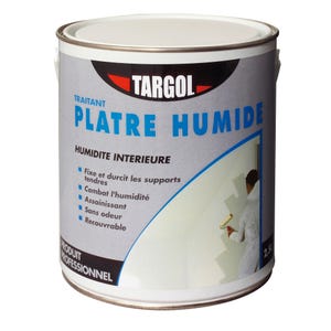 Traitement plâtre humide 2,5 L - TARGOL
