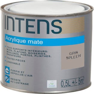Peinture intérieure multi-supports acrylique monocouche mate gris spleen 0,5 L - INTENS