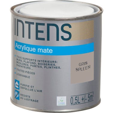 Peinture intérieure multi-supports acrylique monocouche mate gris spleen 0,5 L - INTENS