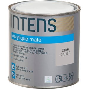 Peinture intérieure multi-supports acrylique monocouche mate gris galet 0,5 L - INTENS
