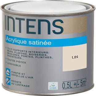 Peinture intérieure multi-supports acrylique monocouche satin lin 0,5 L - INTENS