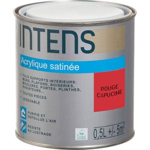 Peinture intérieure multi-supports acrylique monocouche satin rouge capucine 0,5 L - INTENS