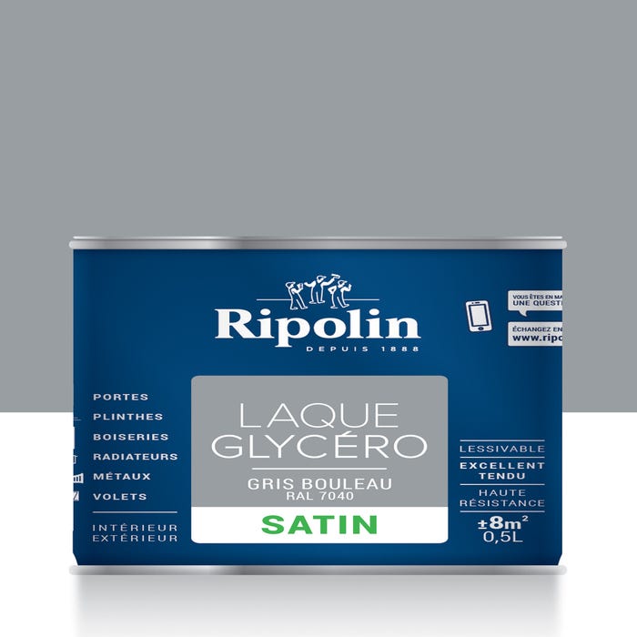 Peinture intérieure et extérieure multi-supports glycéro satin gris bouleau 0,5 L - RIPOLIN