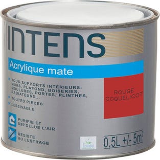 Peinture intérieure multi-supports acrylique monocouche mate rouge coquelicot 0,5 L - INTENS