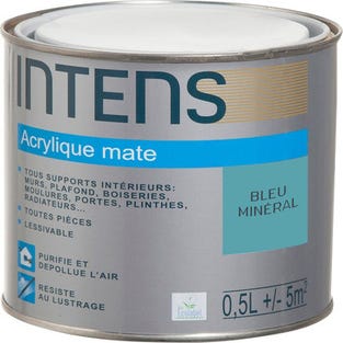 Peinture intérieure multi-supports acrylique monocouche mate bleu minéral 0,5 L - INTENS