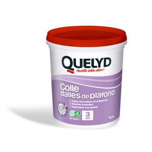 Colle dalles de plafond en pâte 1 kg - QUELYD
