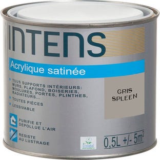 Peinture intérieure multi-supports acrylique monocouche satin gris spleen 0,5 L - INTENS