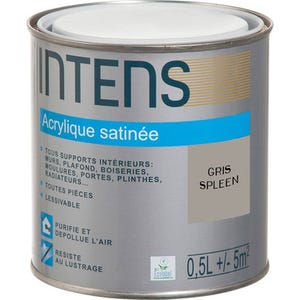 Peinture intérieure multi-supports acrylique monocouche satin gris spleen 0,5 L - INTENS