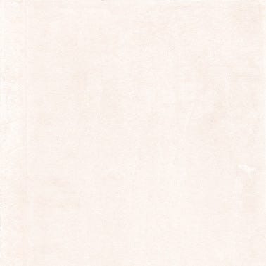 Carrelage intérieur beige uni l.60 x L.60 cm Arles