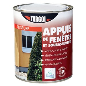 Peinture extérieure appuis de fenêtres et soubassement blanc 1 L - TARGOL
