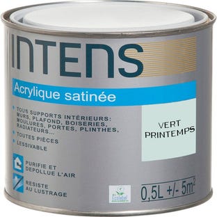 Peinture intérieure multi-supports acrylique monocouche satin vert printemps 0,5 L - INTENS