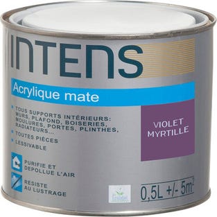 Peinture intérieure multi-supports acrylique monocouche mate violet myrtille 0,5 L - INTENS