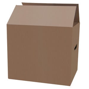 Carton emballage 54L l.60 x P.30 x H.30 cm